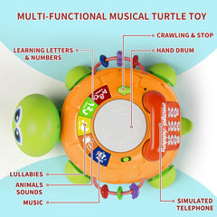 Letapapa turtle toy lights up with cheerful effects to captivate infant attention.