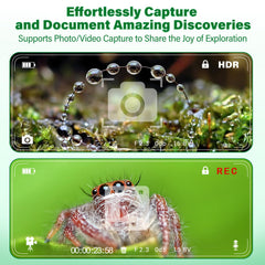 Backyard nature exploration with LEUOA microscope for curious minds