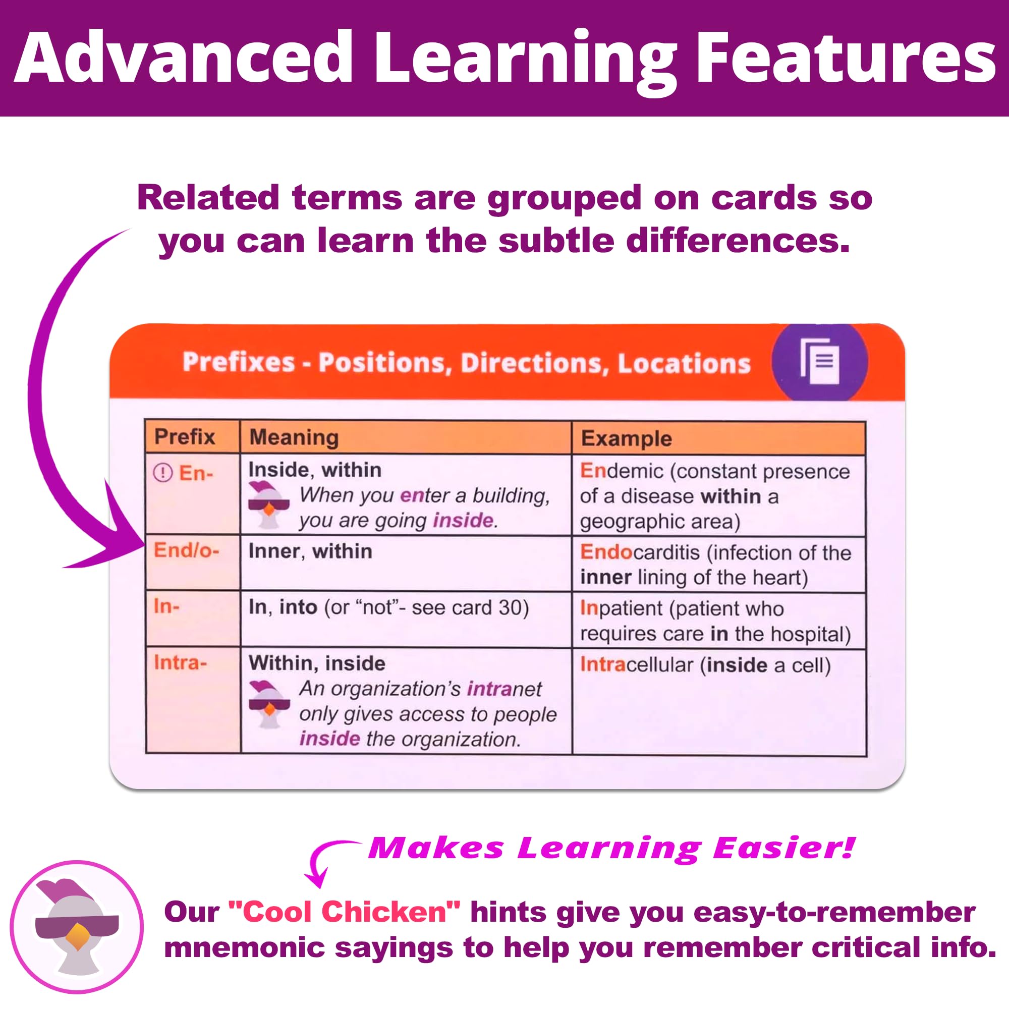 Level Up RN terminology flash card displaying example words for practice