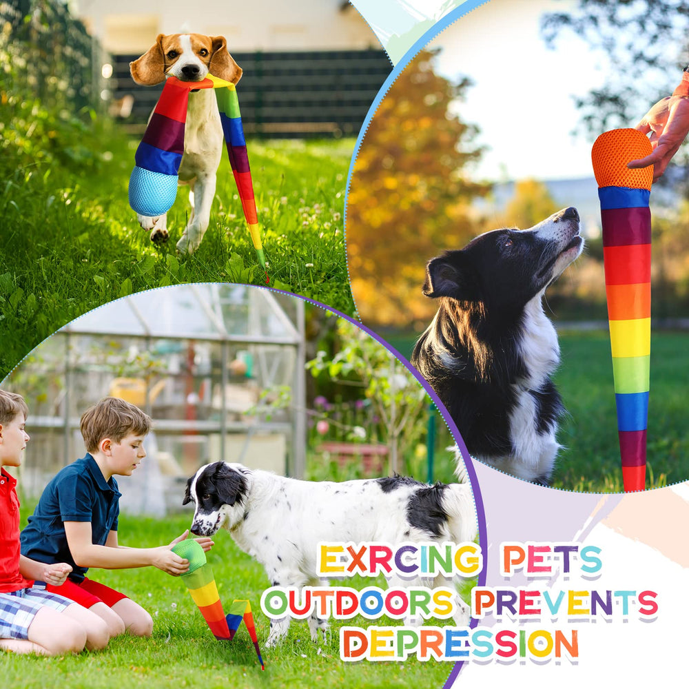 Leyndo comet ball rainbow tail green top, great for backyard tosses.