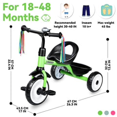Liberry tricycle indoors and outdoors scene demonstrating versatile play spaces