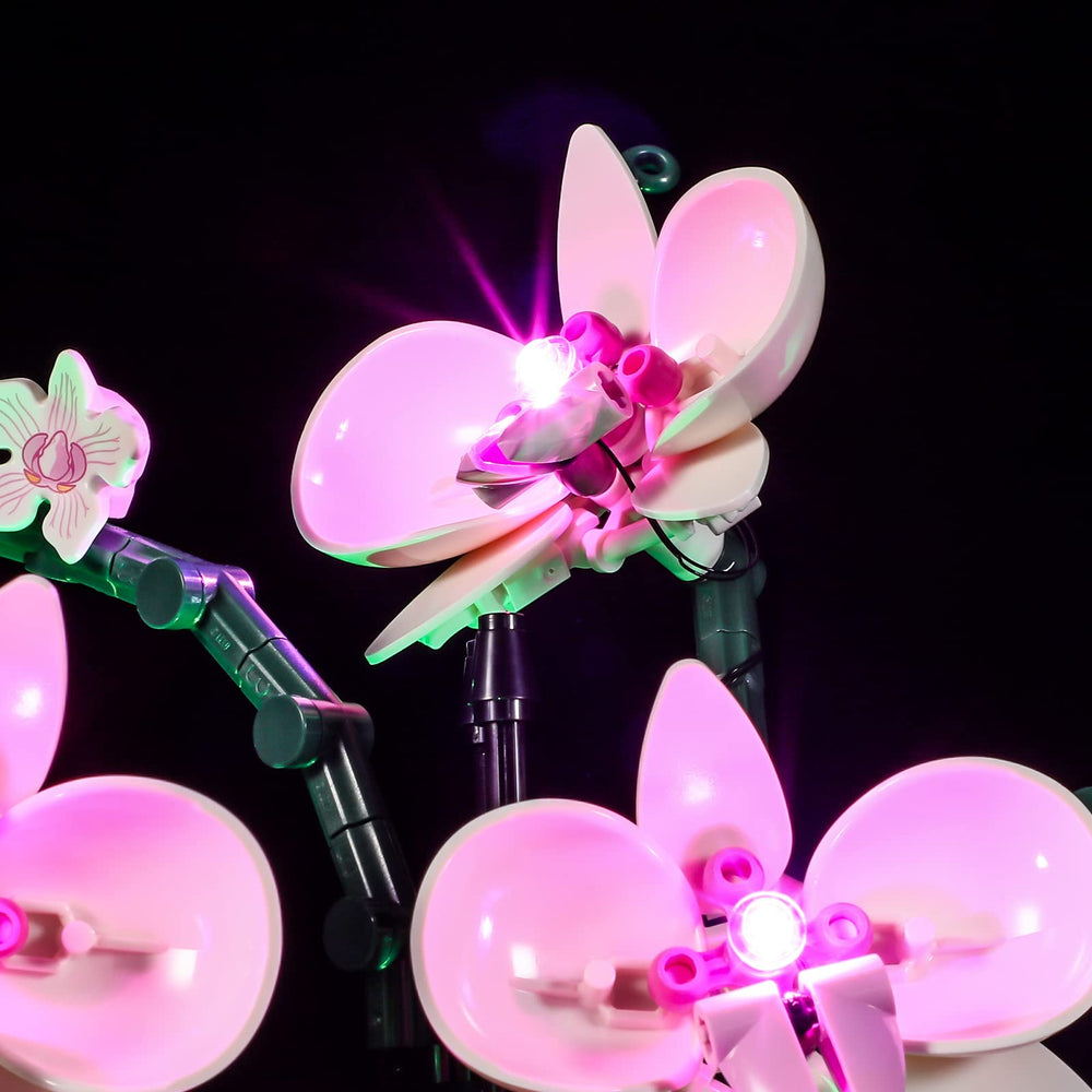 Lightailing Lego-10311 Orchid gift-ready packaging enhances holiday gifting appeal.