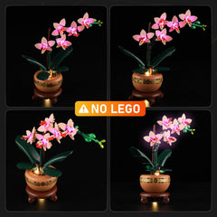 LIGHTAILING packaging for Lego 10343 Mini Orchid kit adds gifting appeal.