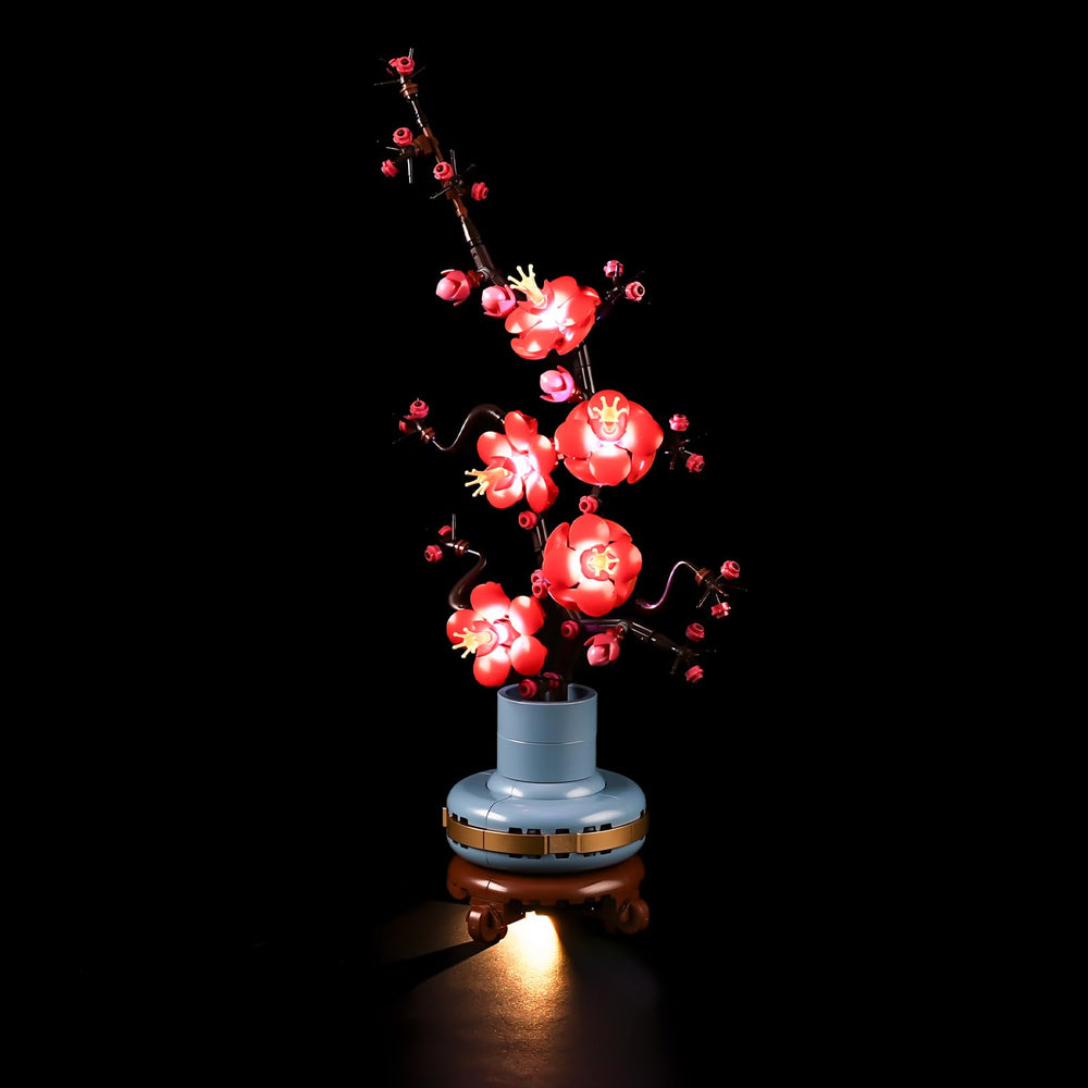LIGHTAILING Plum-Blossom USB LED kit front view enhances display