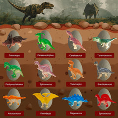 LIHBCAIYI Dino Eggs Dig Kit eggs soaking before a dust-free excavation.