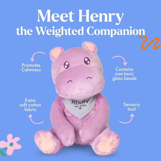 Henry the Hippo with removable weight insert for easy cleaning