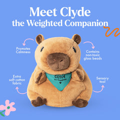 Removable weight insert shown for easy care and flexible use.