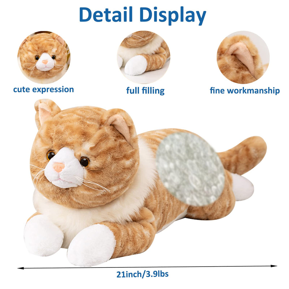 Litence cat plush gift packaging vacuum, ready-to-gift packaging for birthdays and holidays.