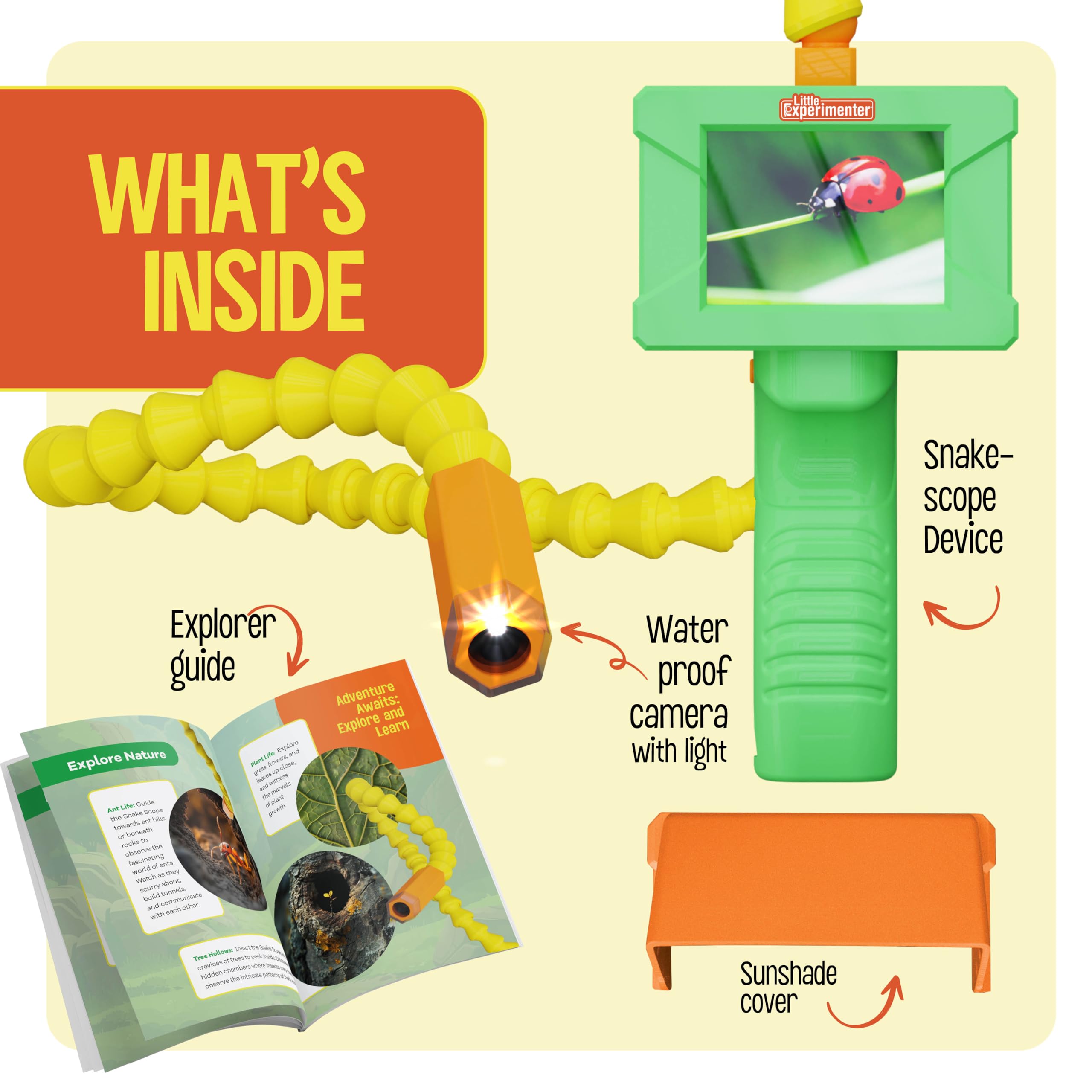 Little Experimenter Snake Scope camera peers into tree hollow to show nesting behavior.