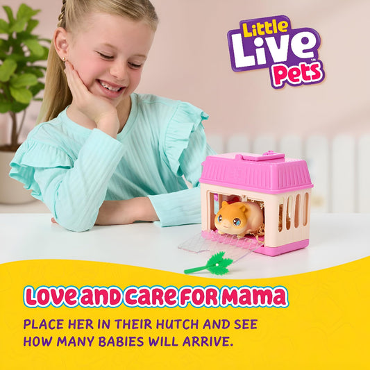 Little Live Pets hamster mini interactive toy set reveals three babies in the hutch for imaginative storytelling