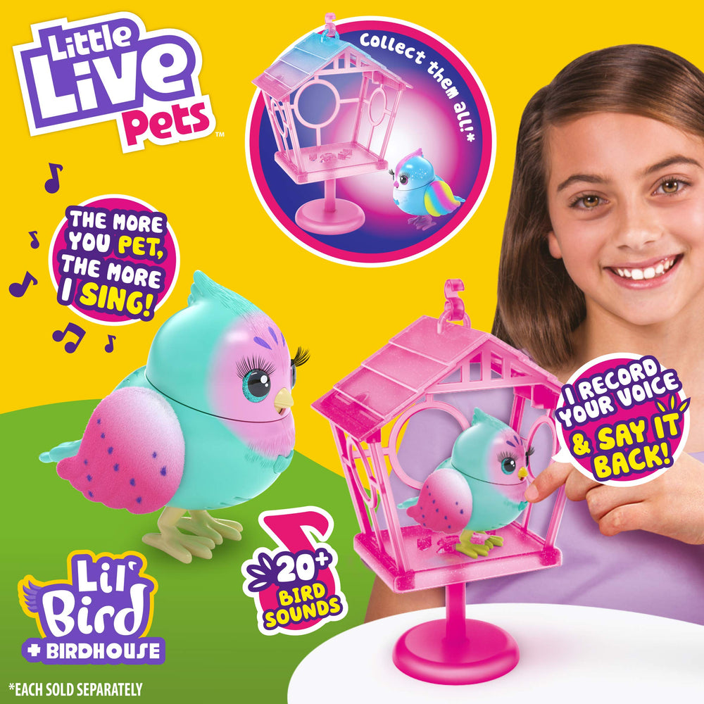 Styles vary: each Lil Bird arrives with unique color and flair.