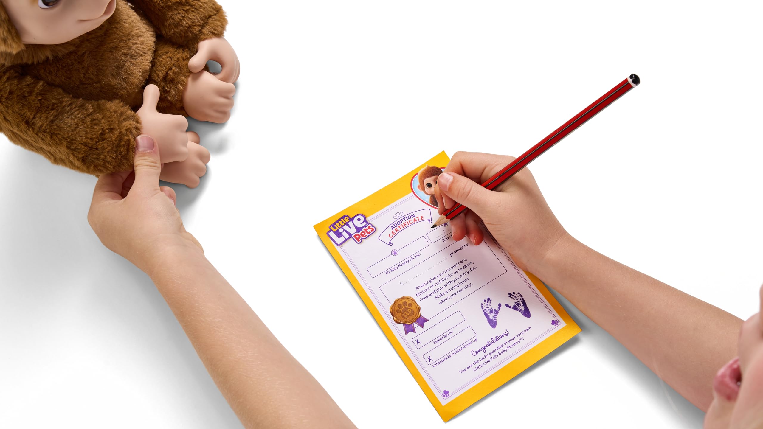 Little Live Pets Mango strong grippy hands for climbing and hanging.