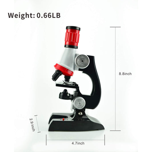 Magnification selector on Little World microscope highlights 100x, 400x, and 1200x for exploration