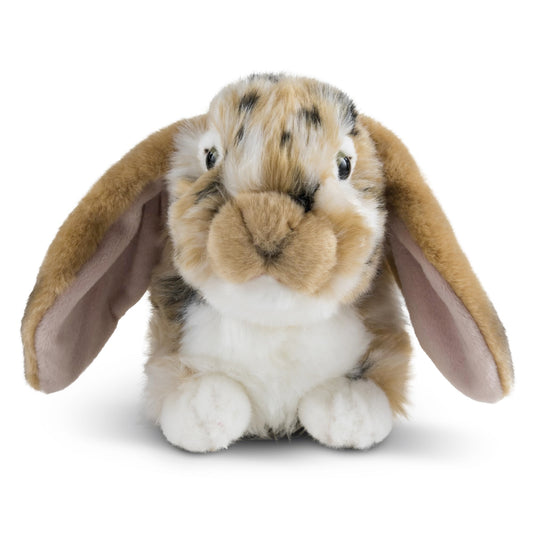 Living Nature Brown Dutch Lop Eared Rabbit plush, front view, cozy cuddle companion.