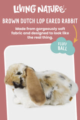 Living Nature Brown Dutch Lop Eared Rabbit long ears close-up.