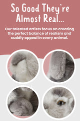 Living Nature ears close-up highlights floppy ears and fur texture.