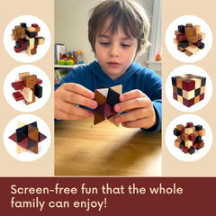 Brain teasers from LMC Products with instruction sheet and display box.