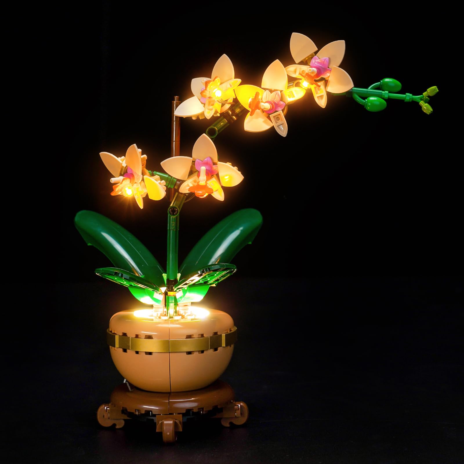 LocoLee light kit for LEGO Mini Orchid 10343 front-lit display.