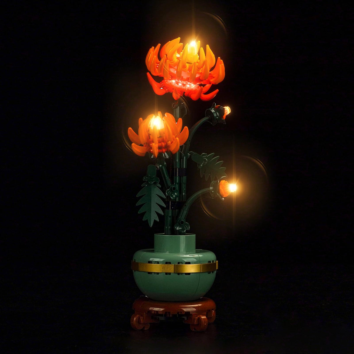 Locolee 10368 chrysanthemum light kit front view showing vibrant illumination.