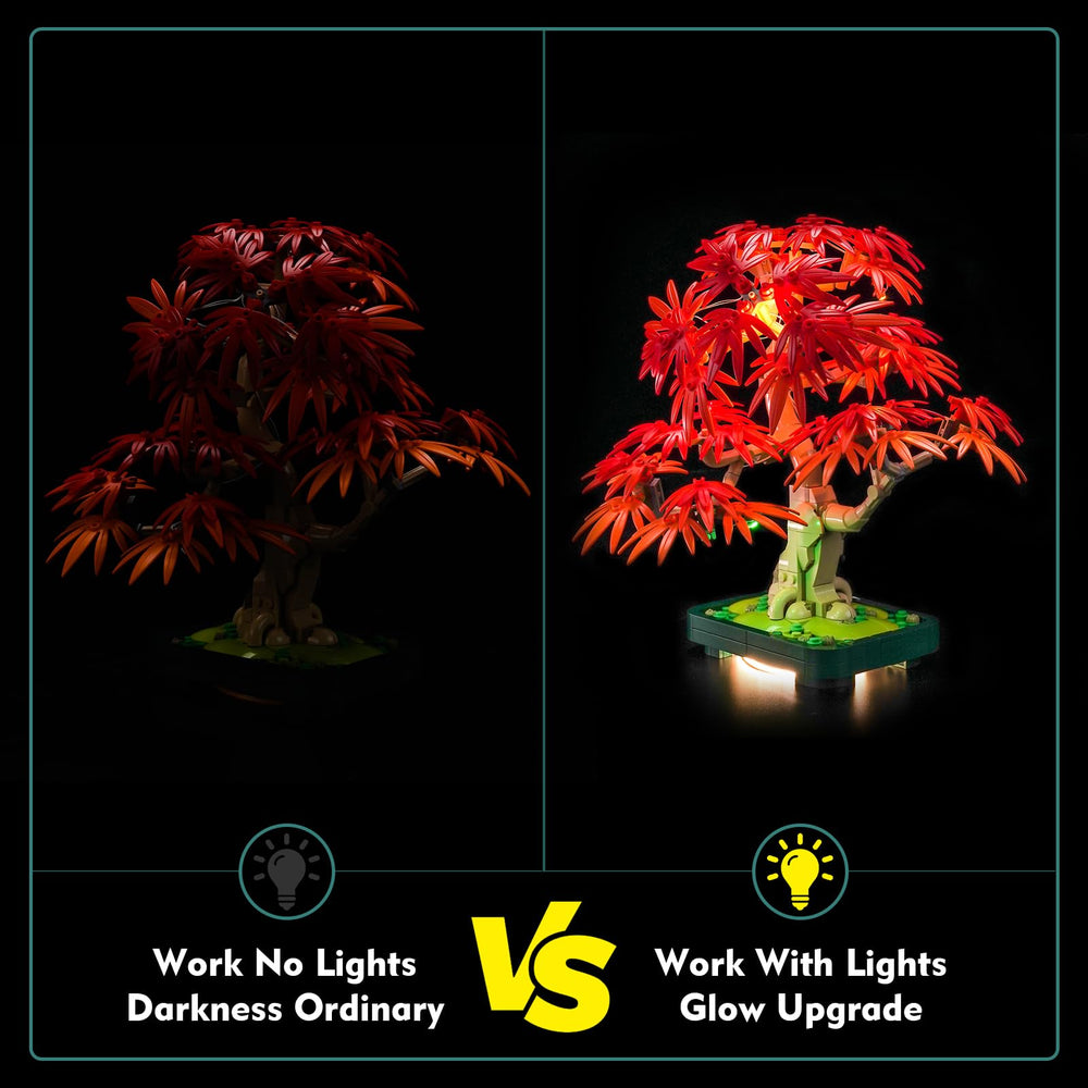LocoLee bright LEDs highlight bonsai branches and leaves.