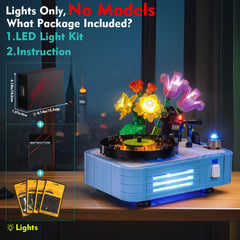 LocoLee USB-powered setup for LEGO 31172 lights up beautifully