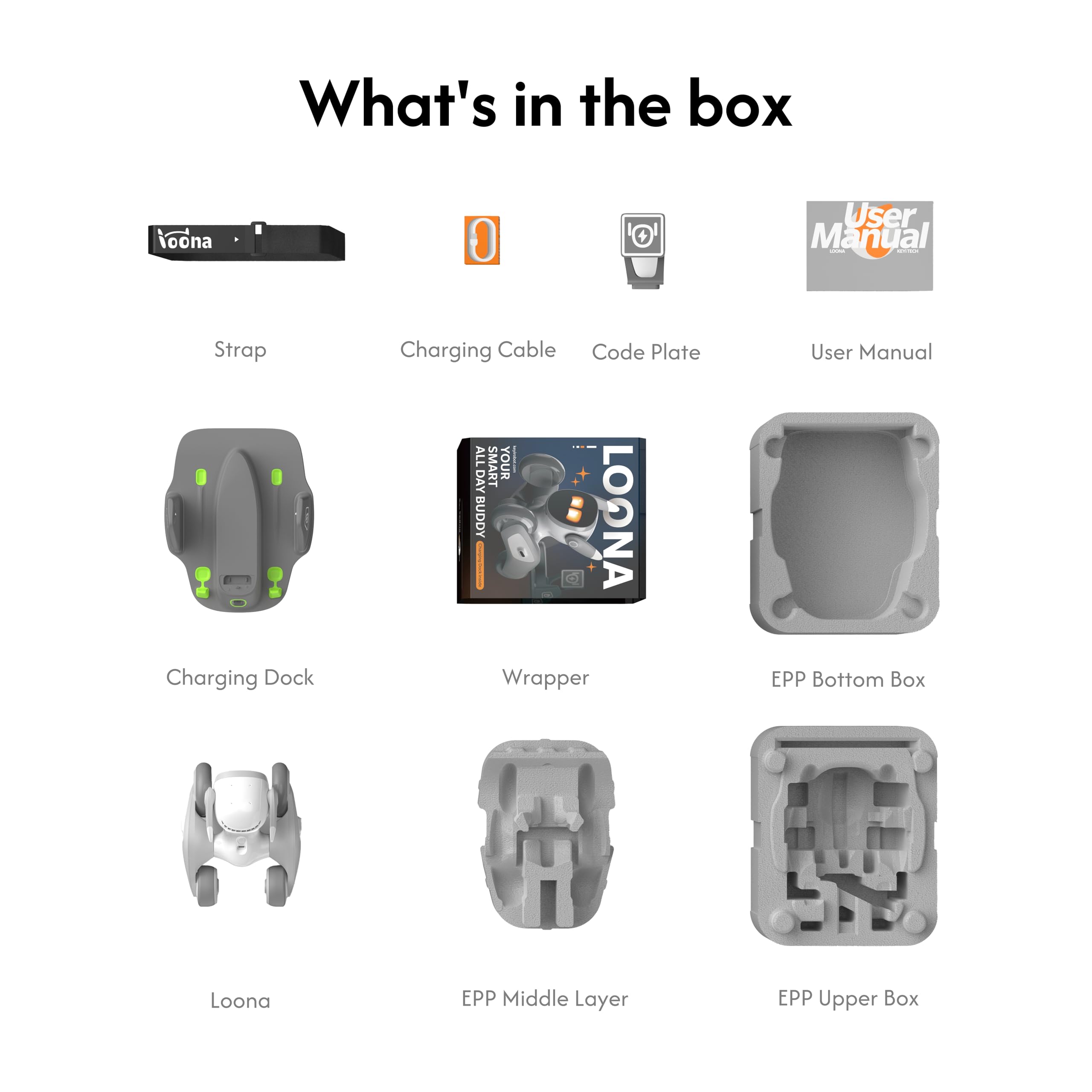 The companion app offers games and quizzes for ongoing fun.