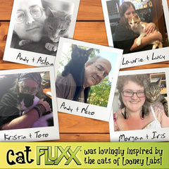Looney Labs Cat Fluxx yarn-ball icon sparks quick decisions.