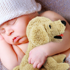LotFancy floppy-body puppy plush ready for naps, travel, and cozy lounging