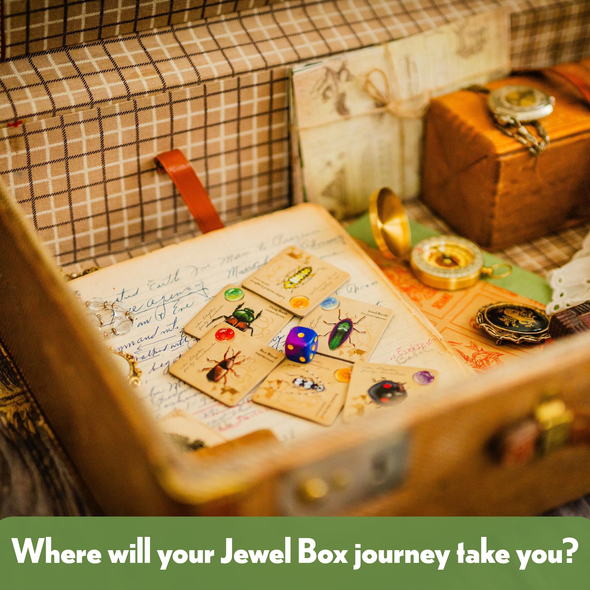 Family game night with Jewel Box, cozy and engaging for all ages
