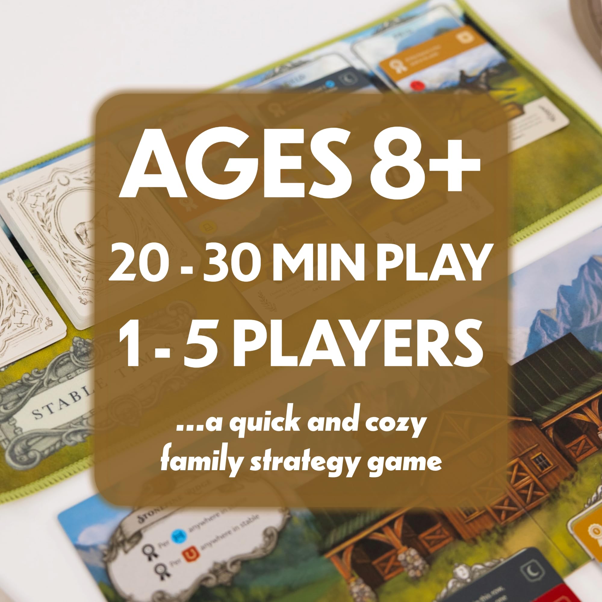 Lovemore Games Stable Times cards feature unique horses ready for quick strategy rounds.