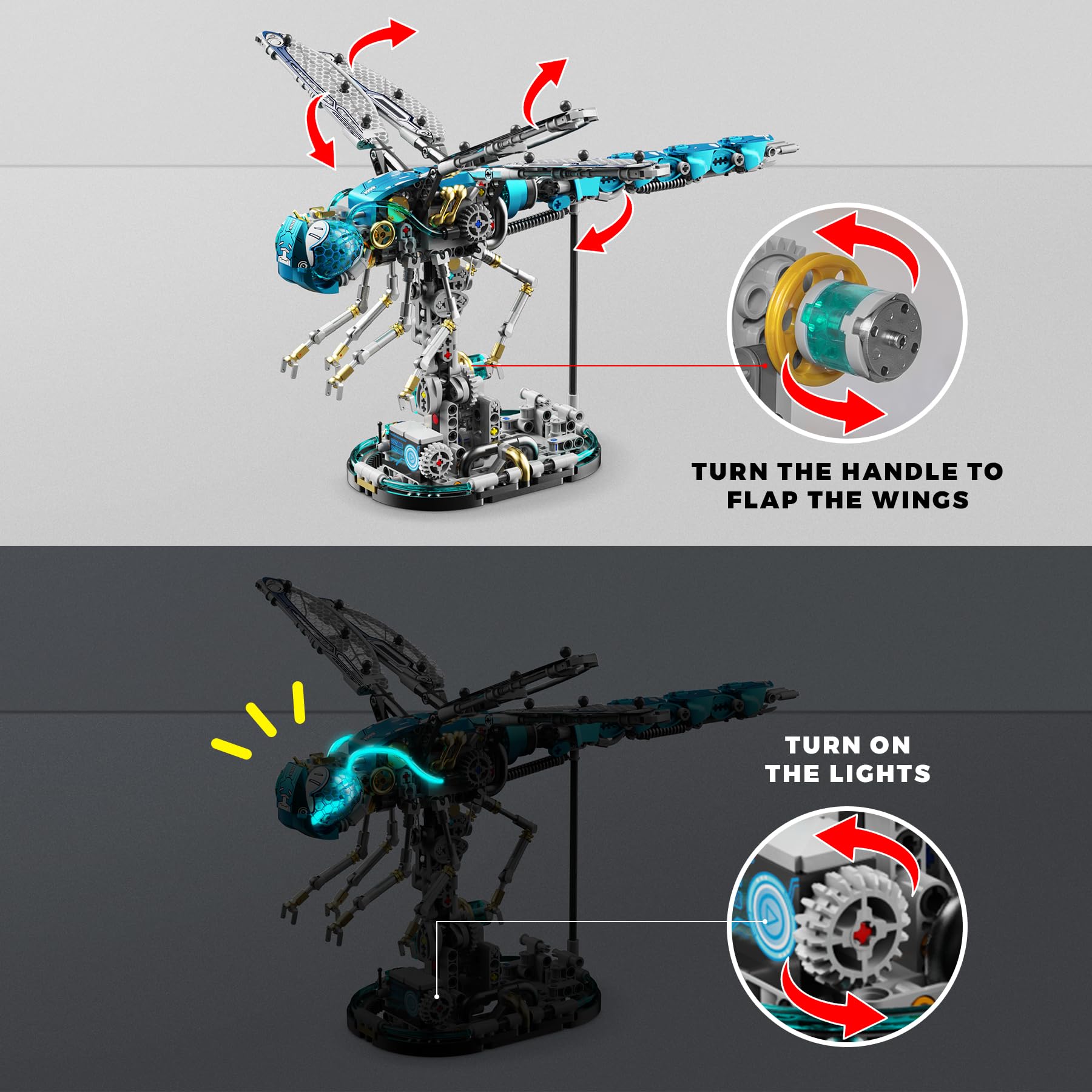 Loyratche Dragonfly articulated joints demonstrate mechanical concepts during building.