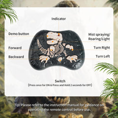 Lozadia gift-ready dino box ideal for birthdays and holidays