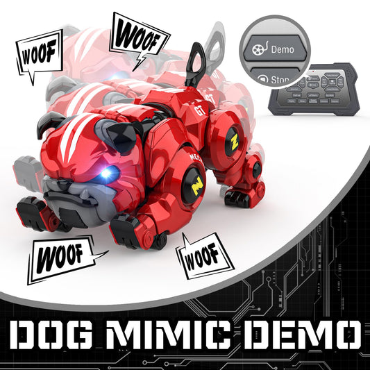 Lterfear Robot Dog with remote control ready for instruction and stunts.