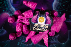 Lucky Duck Cosmoctopus family game night invites kids and adults to strategize.