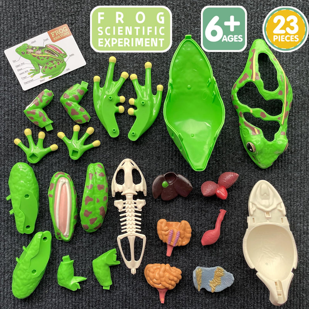 LUCKY GUESS durable materials ensure lasting hands-on use
