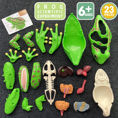 LUCKY GUESS durable materials ensure lasting hands-on use