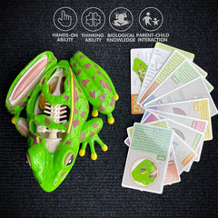 LUCKY GUESS STEM toy for home or classroom science curiosity