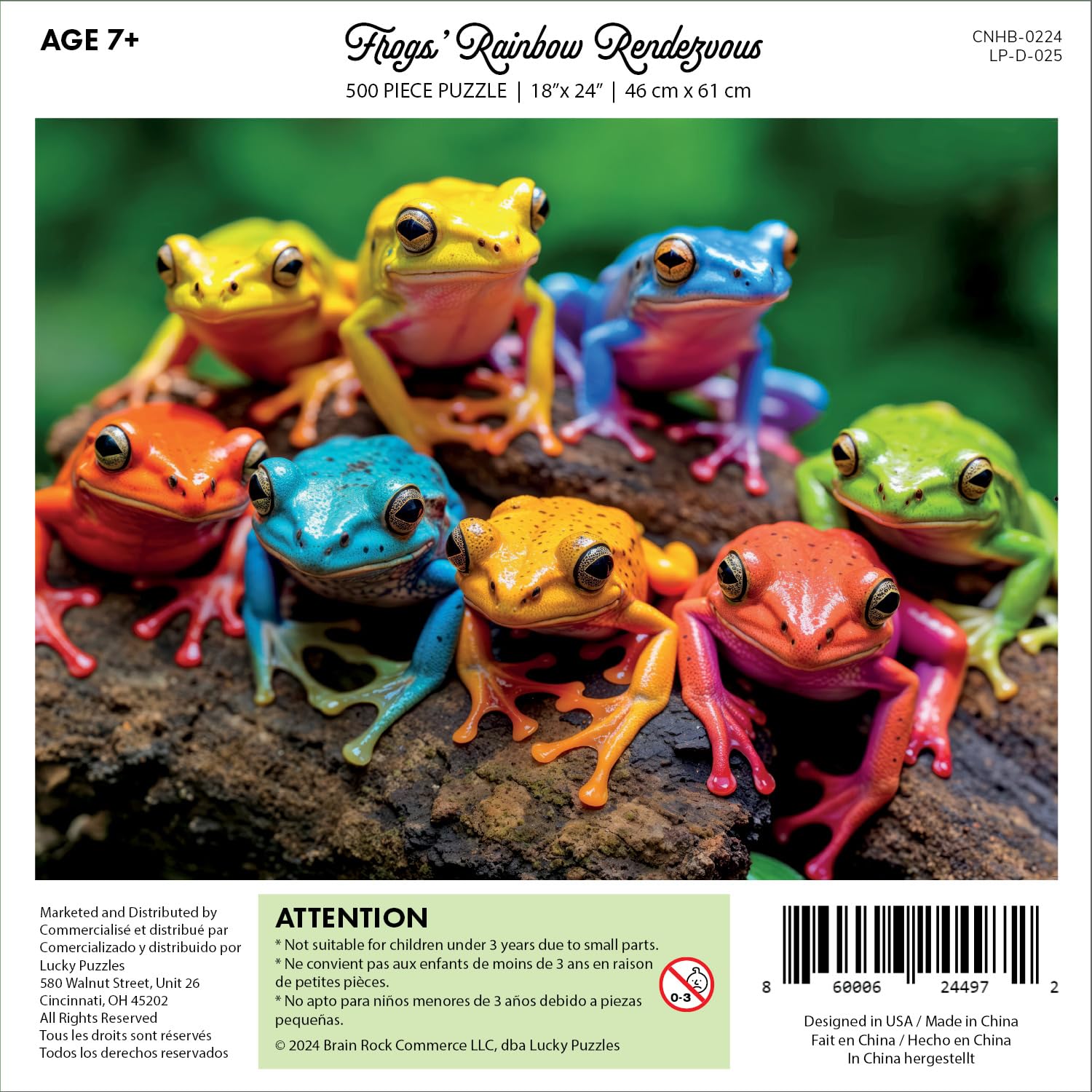 Lucky Puzzles Frogs Rainbow Rendezvous cover image shows colorful frogs to brighten living spaces.