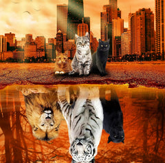 Lzbabyily cat-tiger puzzle 1000 pieces for immersive, relaxing challenge.