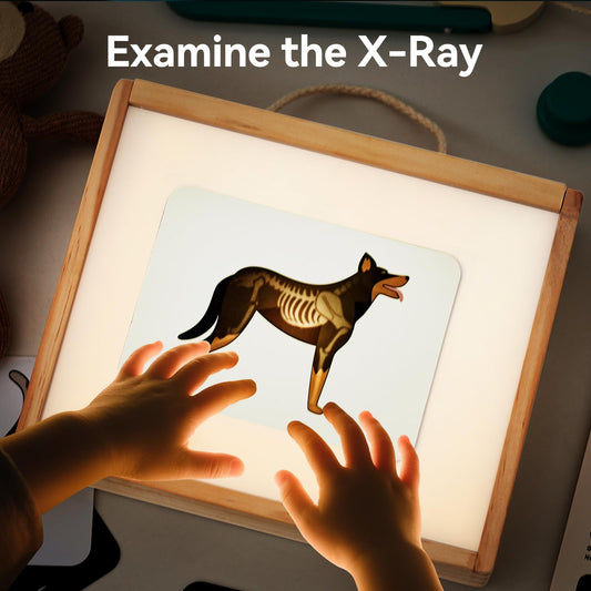 Macabaka light box with adjustable brightness for clear X-ray viewing