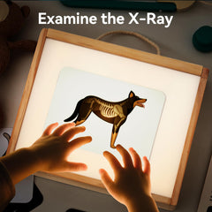 Macabaka light box with adjustable brightness for clear X-ray viewing