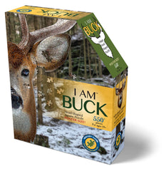 Madd Capp I AM Buck poster-side reference art and learning prompts.