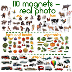 MAGDUM 110 fridge magnets vegetables for sensory exploration on magnetic boards