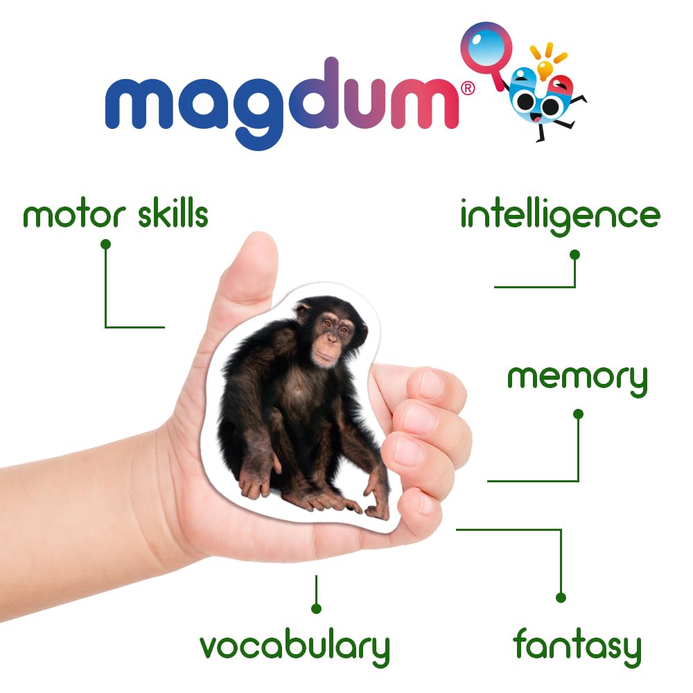 MAGDUM 110 fridge magnets gift tin box ready for gifting and exploration
