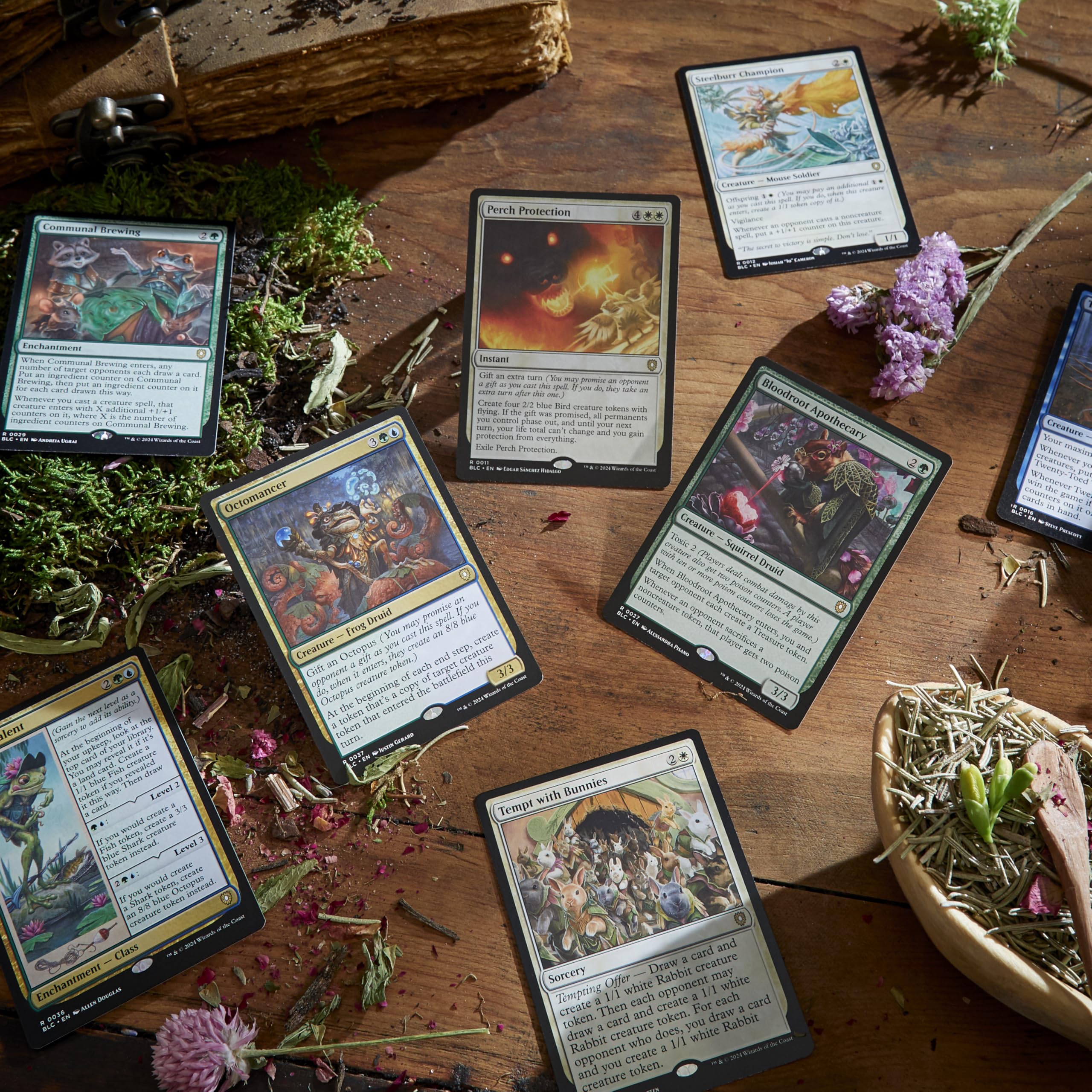 Magic: The Gathering Bloomburrow Peace Offering strategy insert guiding new players.