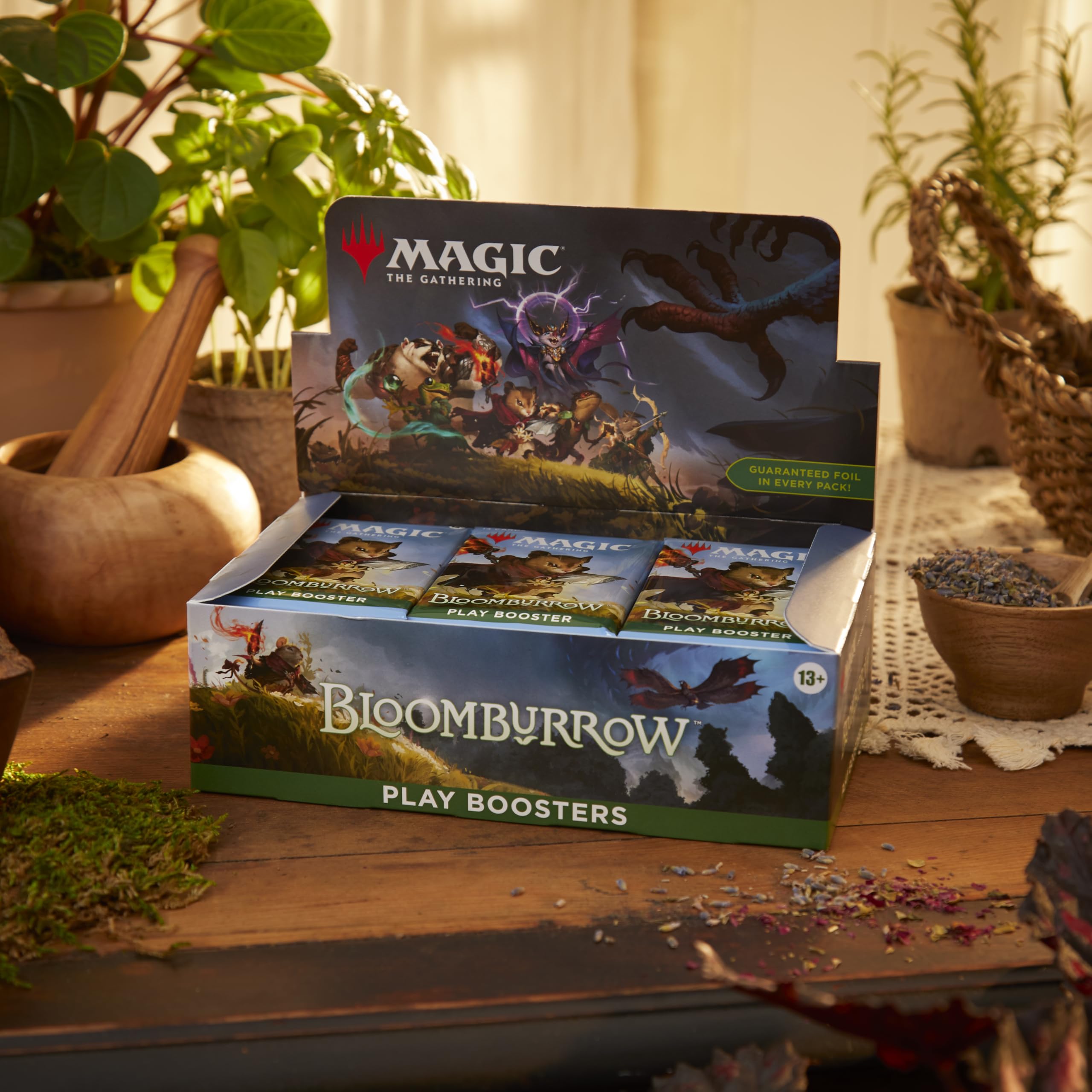 Magic: The Gathering Bloomburrow booster box spread for group Sealed or Draft play
