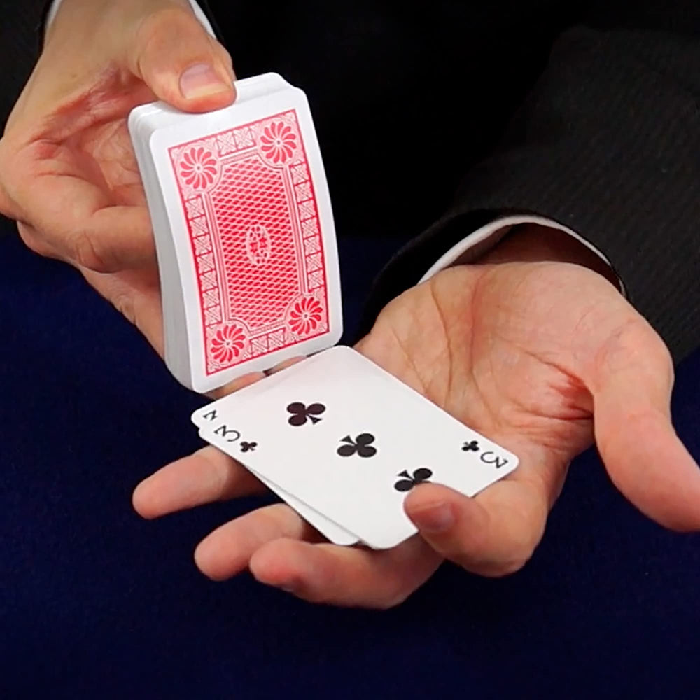 Marvin's Magic card tricks in action with a playful audience.