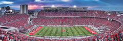 MasterPieces Ohio State puzzle educational and entertaining pastime for adults and families.