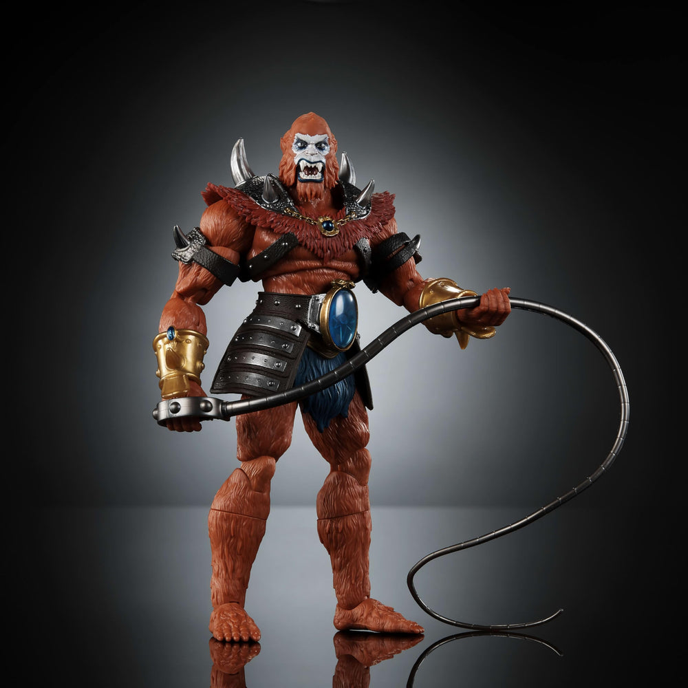 New Eternia packaging is perfect for collectors' display shelves.
