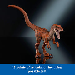 Mattel Jurassic World Hammond Atrociraptor Tiger deluxe packaging for display-ready box.